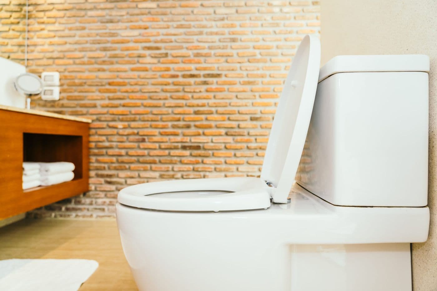 Toilet Flushing System
