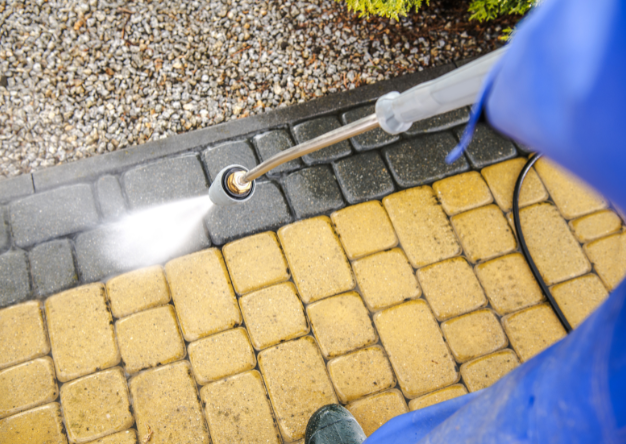 arman (500 x 600 px) (626 x 444 px) (1)