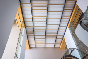 Ceiling & Partition concrete building facade with lines vertical features 1127 13322.avif